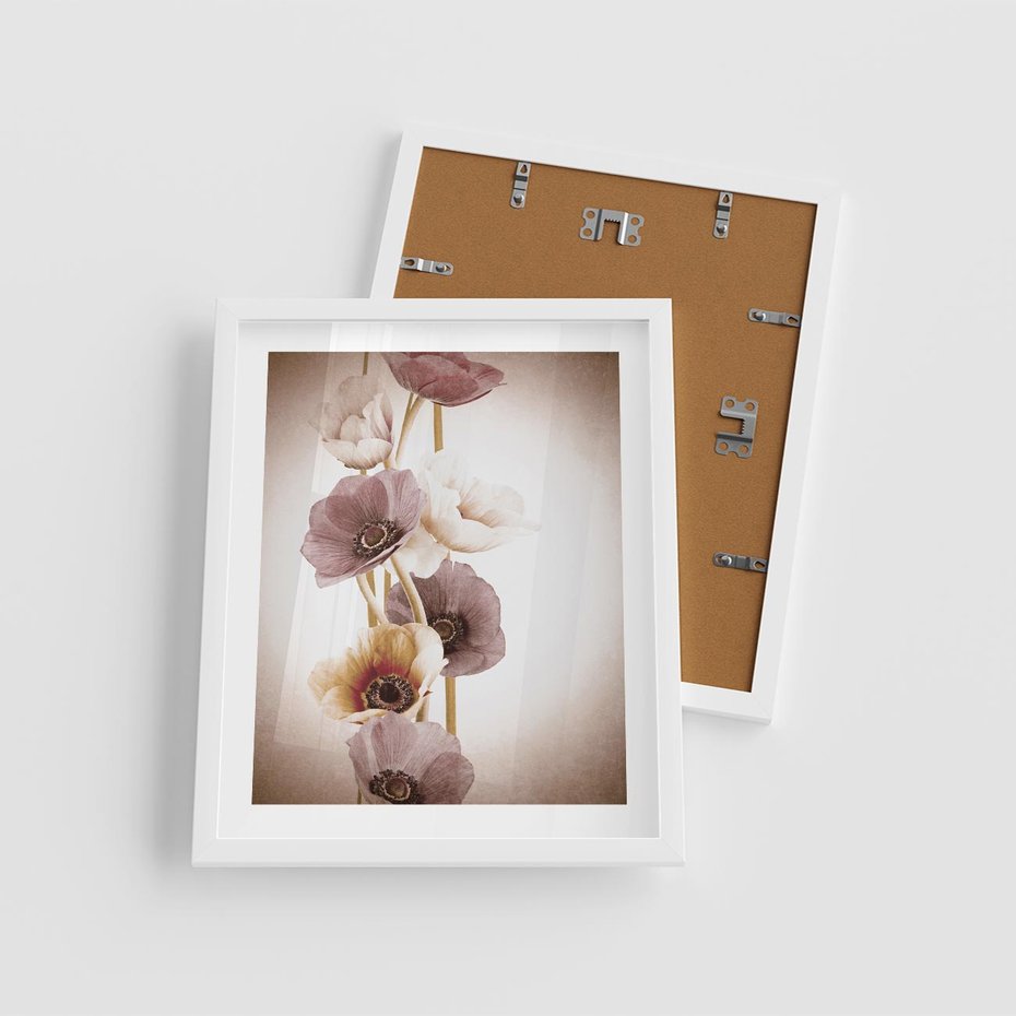 Plakat w ramie 40x50 - Eksplozja kolorów - akwarela, maki - rama biała