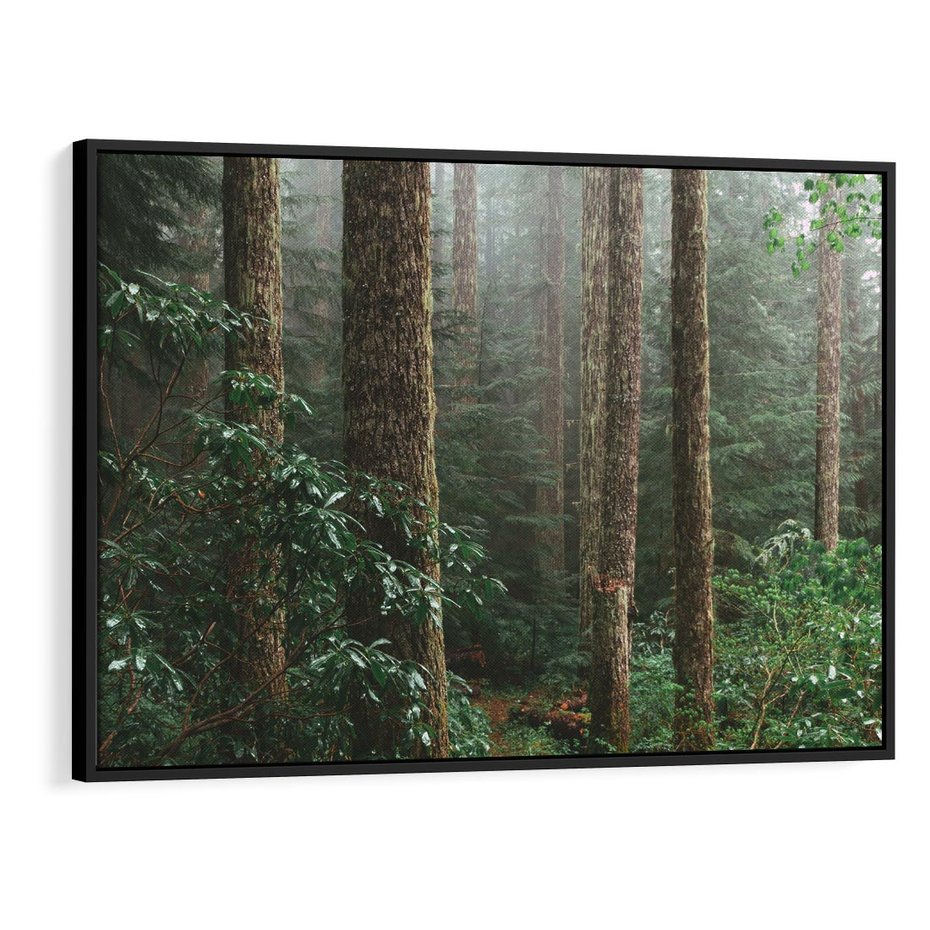 Obraz w ramie 100x70 - Mgliste Marzenia - artystyczna fotografia, las - rama czarna