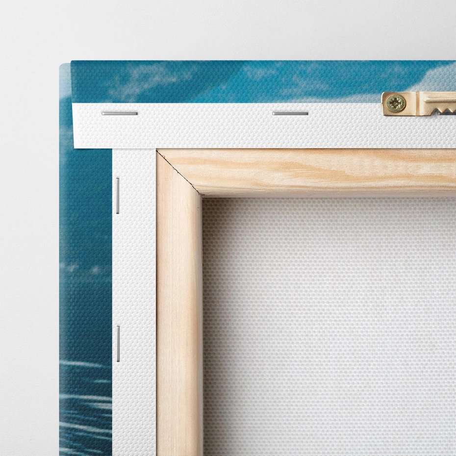 Obraz na płótnie 40x40 - Łabędzi Śpiew - fotografia, plakat