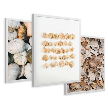 Zestaw obrazy w ramie 50x70 galeria - Jesień, liście, dynie, boho - rama biała