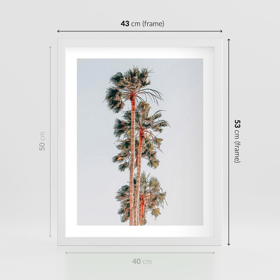 Plakat w ramie 40x50 - Kształty Palm - palmy, zdjęcie - rama biała