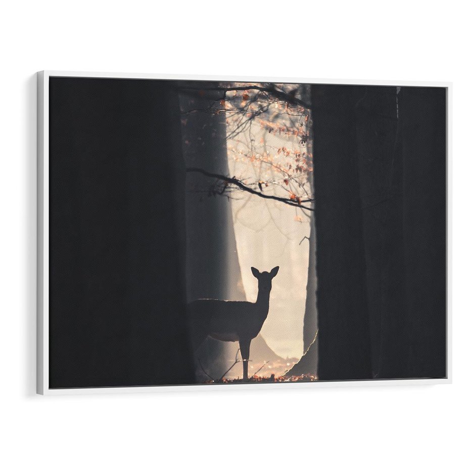 Obraz w ramie 70x50 - Sarnie Skoki - zdjęcie, klimatyczny las - rama biała