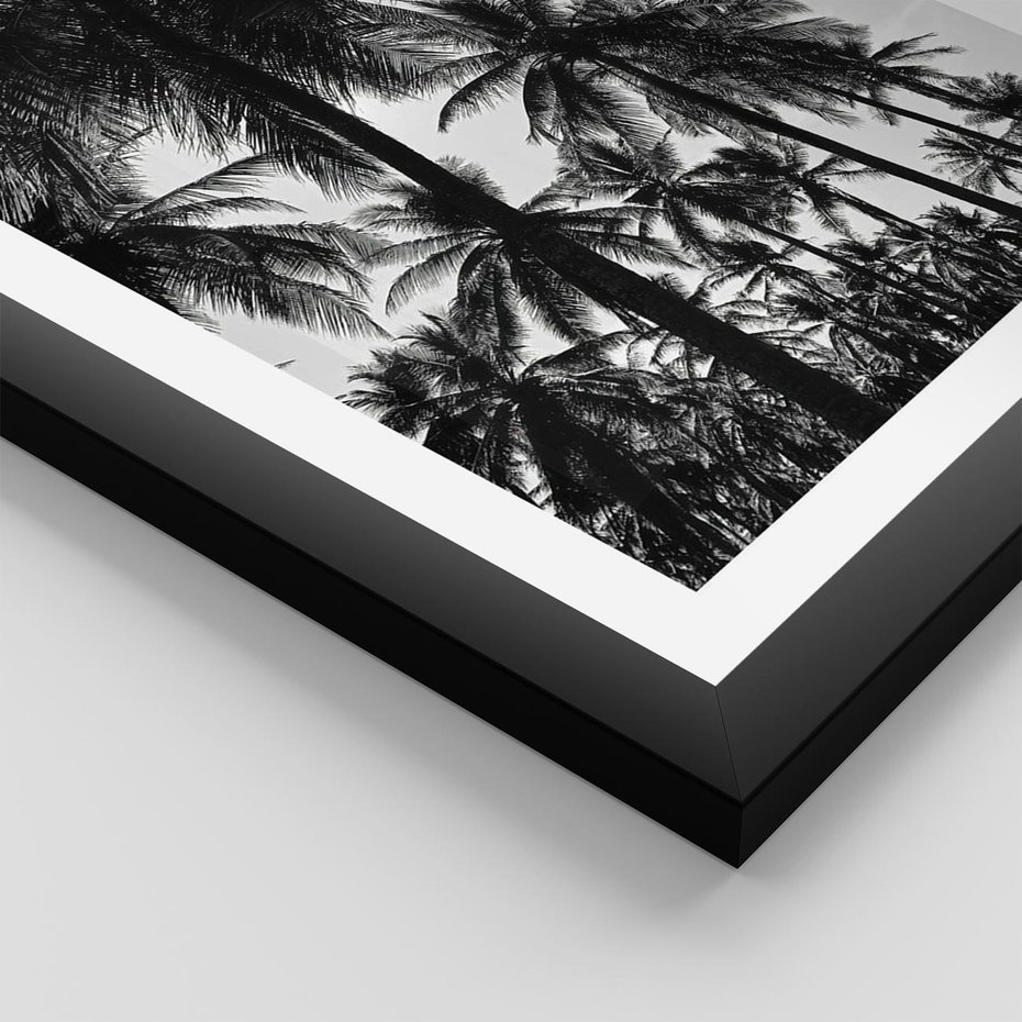 Plakat w ramie 50x70 - Mono Tropiki - palmy, drzewa palmowe - rama czarna