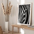 Plakat w ramie 40x50 - Pasy Zebr - zebra, paski - rama drewno