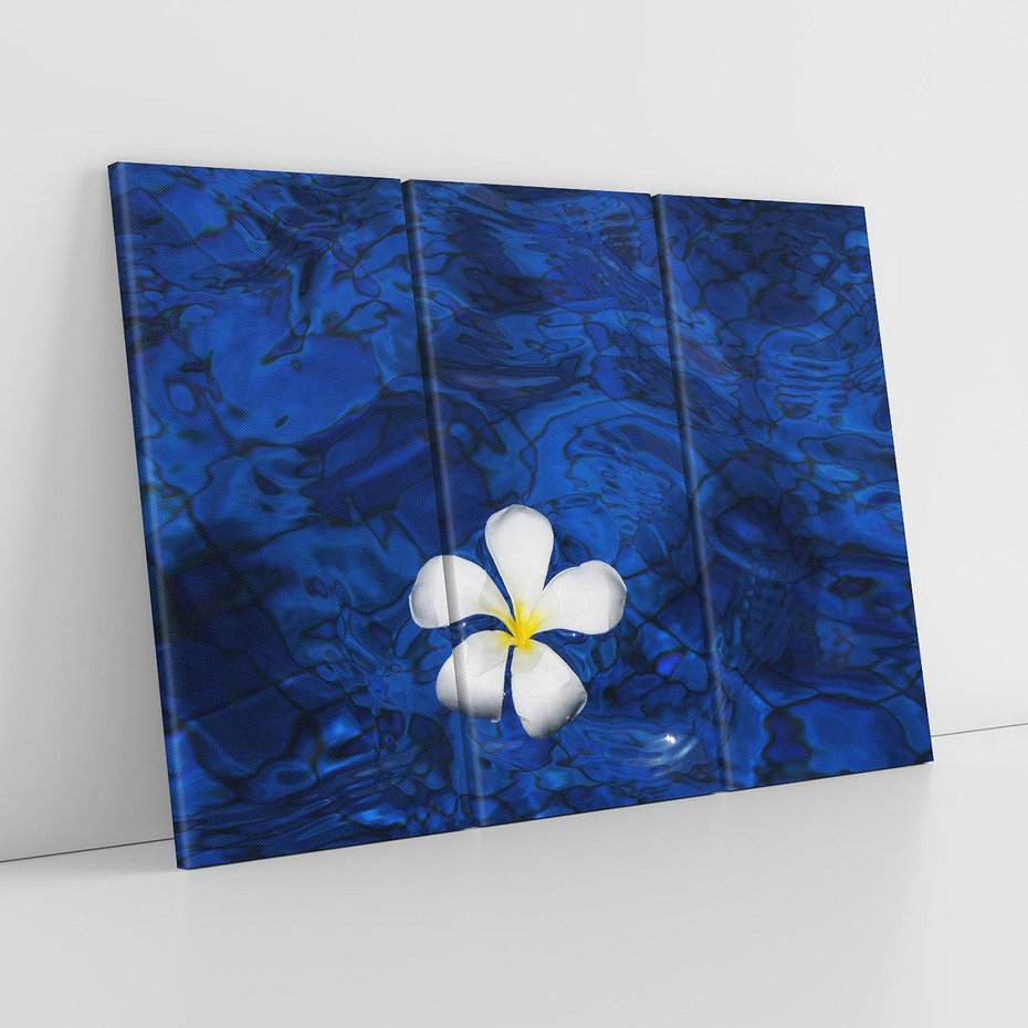 Obraz na płótnie 120x80 - Kwiaty wodne delikatność natury - kwiat, woda