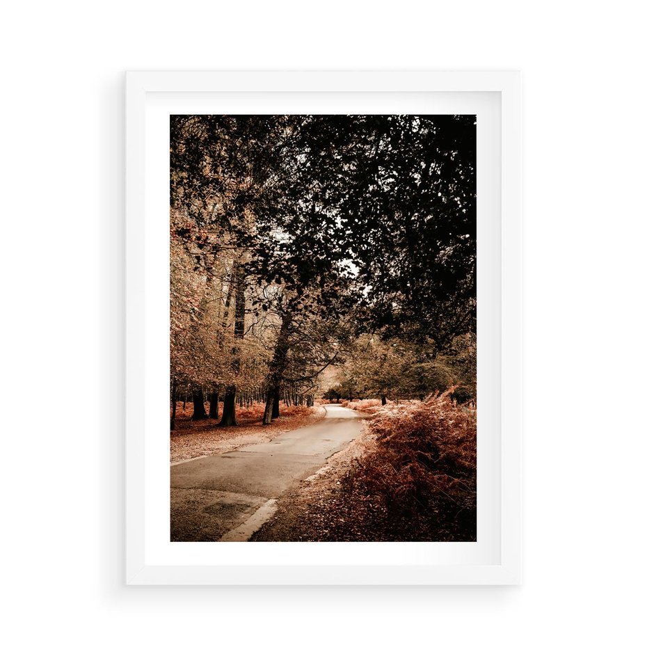 Plakat w ramie 50x70 - Magia Jesieni: Pejzaż Parku w Odcieniach Żółci - jesień, park - rama biała