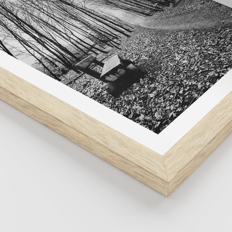 Plakat w ramie 30x40 - Spadające Liście - czarno białe zdjecie, park - rama drewno