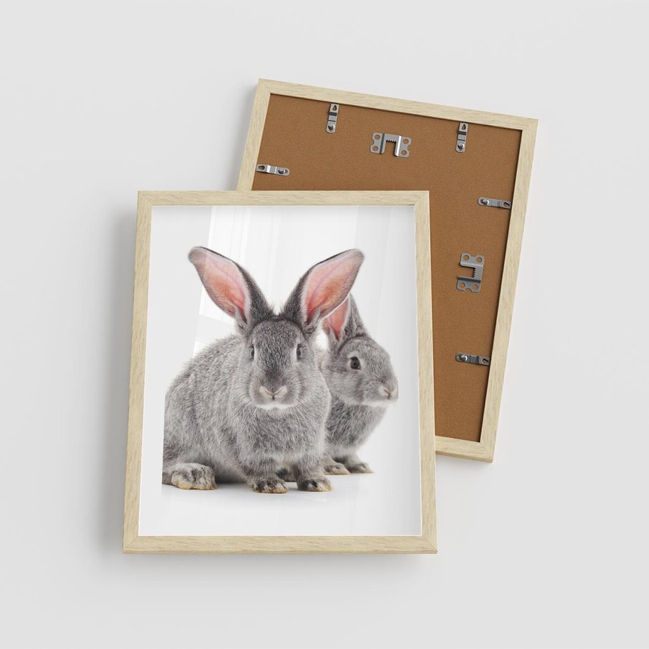 Plakat w ramie 40x50 - Uroczy królik wśród natury - królik, zając - rama drewno