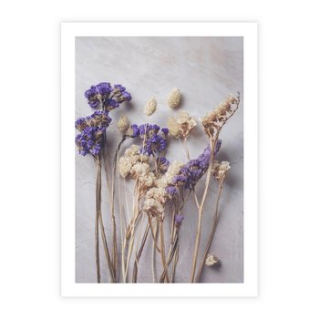 Plakat bez ramy 21x30 - Błękitno-Biała Harmonia - suszone kwiaty, błekitne