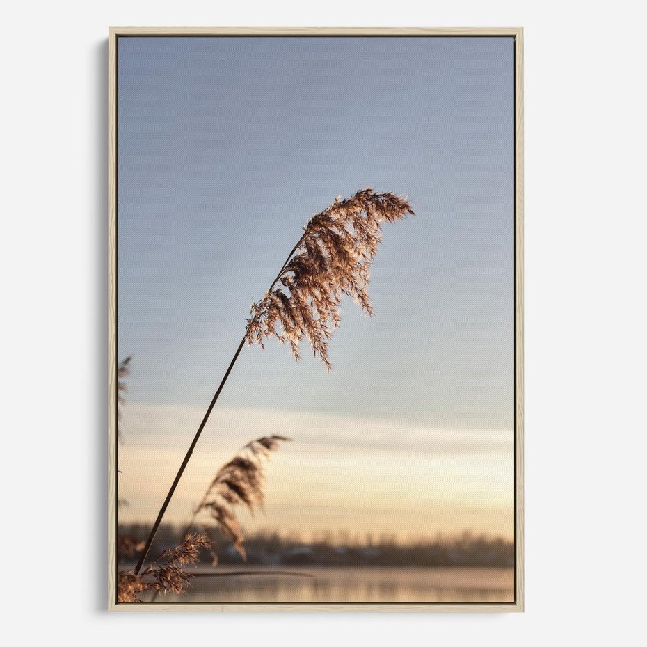 Obraz w ramie 50x70 - Naturalna Delikatność - trawy, boho - rama drewno