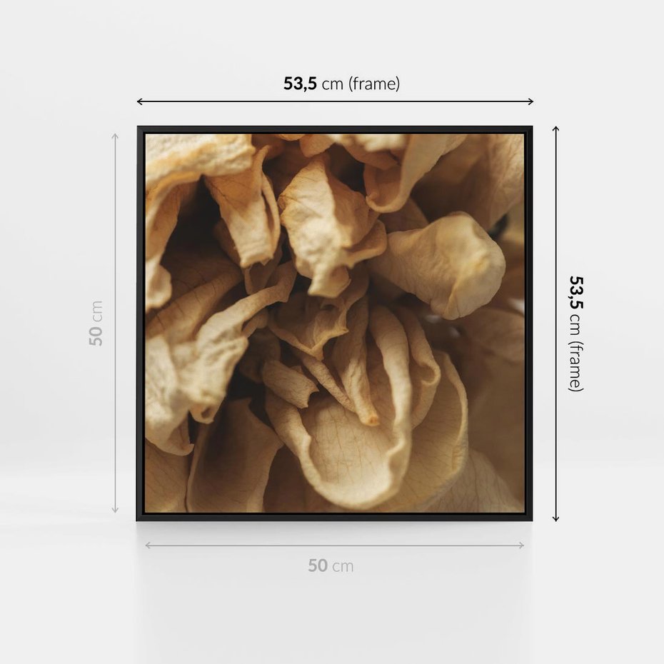 Obraz w ramie 50x50 - Zjawiskowe zasuszone kwiaty - zasuszone, kwiaty - rama czarna