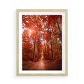 Plakat w ramie 50x70 - Magia jesiennego lasu - las, jesień - rama drewno