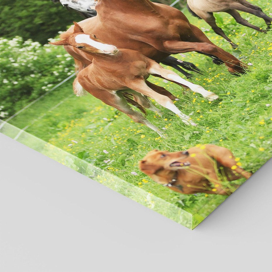 Obraz na płótnie 30x30 - Galopujące konie - konie, galop