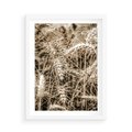 Plakat w ramie 50x70 - Zbliżenie na Kłosy Zboża - zboża, kłosy zboża - rama biała