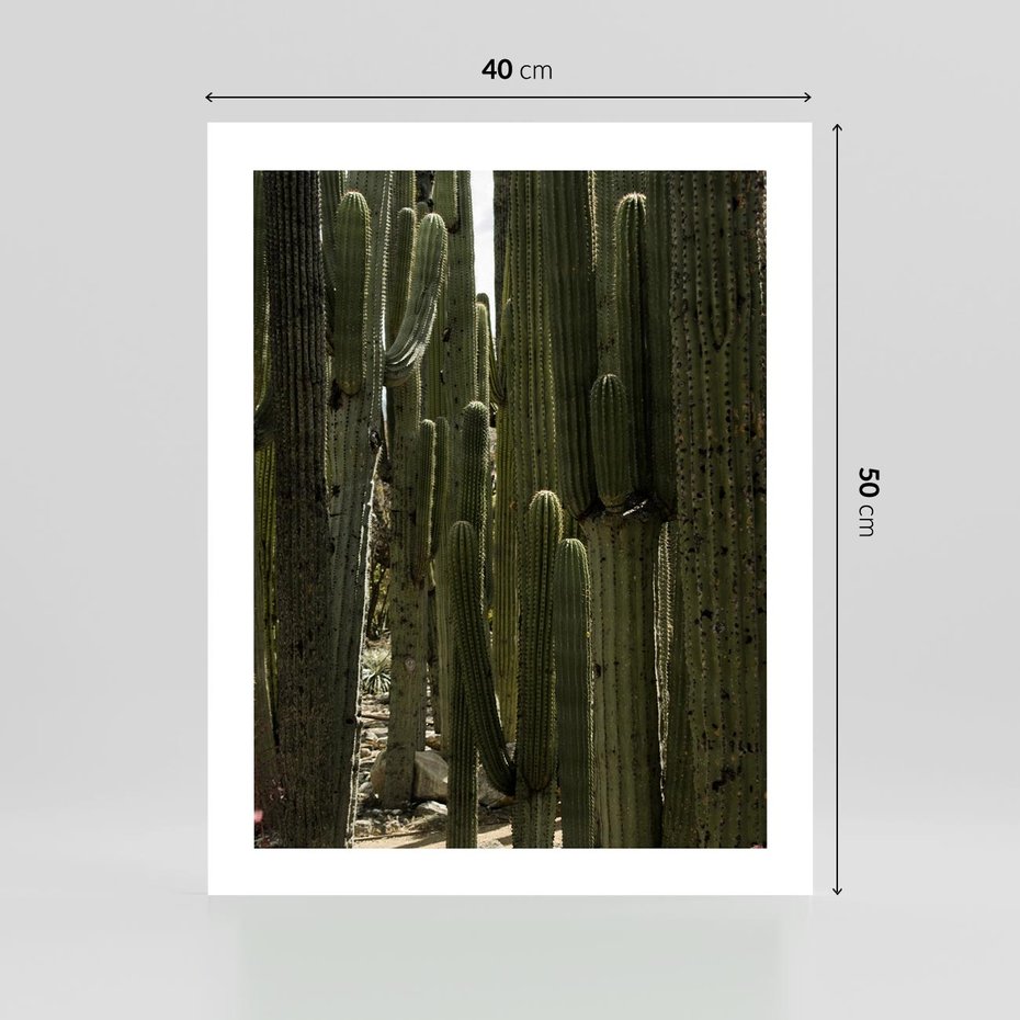 Plakat bez ramy 40x50 - Wyjątkowy Klimat Boho - kaktusy, pustynia