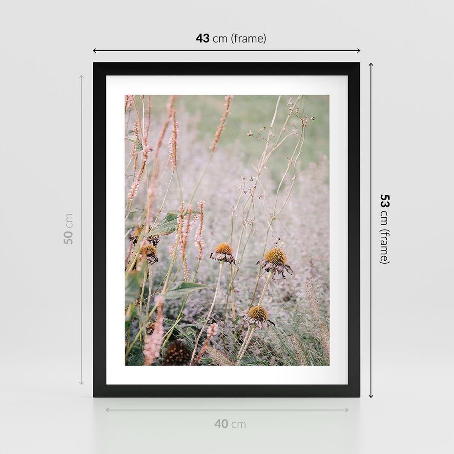 Plakat w ramie 40x50 - Przyroda w Pełnym Blasku: Kolorowa łąka z Kwiatami - łąka, kwiaty na łące - rama czarna