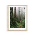 Plakat w ramie 30x40 - Mgliste Marzenia - artystyczna fotografia, las - rama drewno