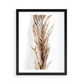 Plakat w ramie 50x70 - Minimalizm Palmowy: Sucha Uroda - sucha palma, minimalizm - rama czarna