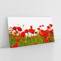 Obraz na płótnie 140x70 - Bujne maki na malowniczej łące - mak, maki