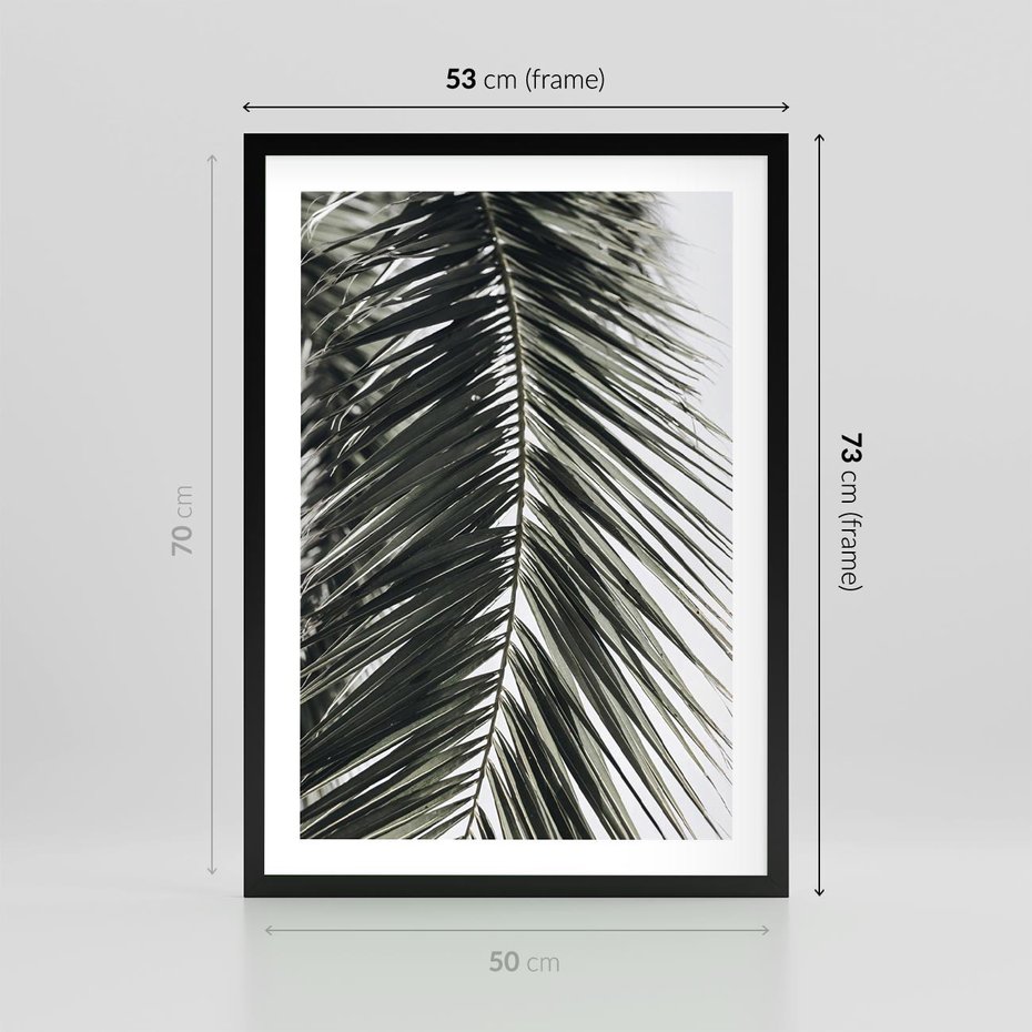 Plakat w ramie 50x70 - Liść Palmy: Egzotyczny Detal Natury - palma, liść palmy - rama czarna