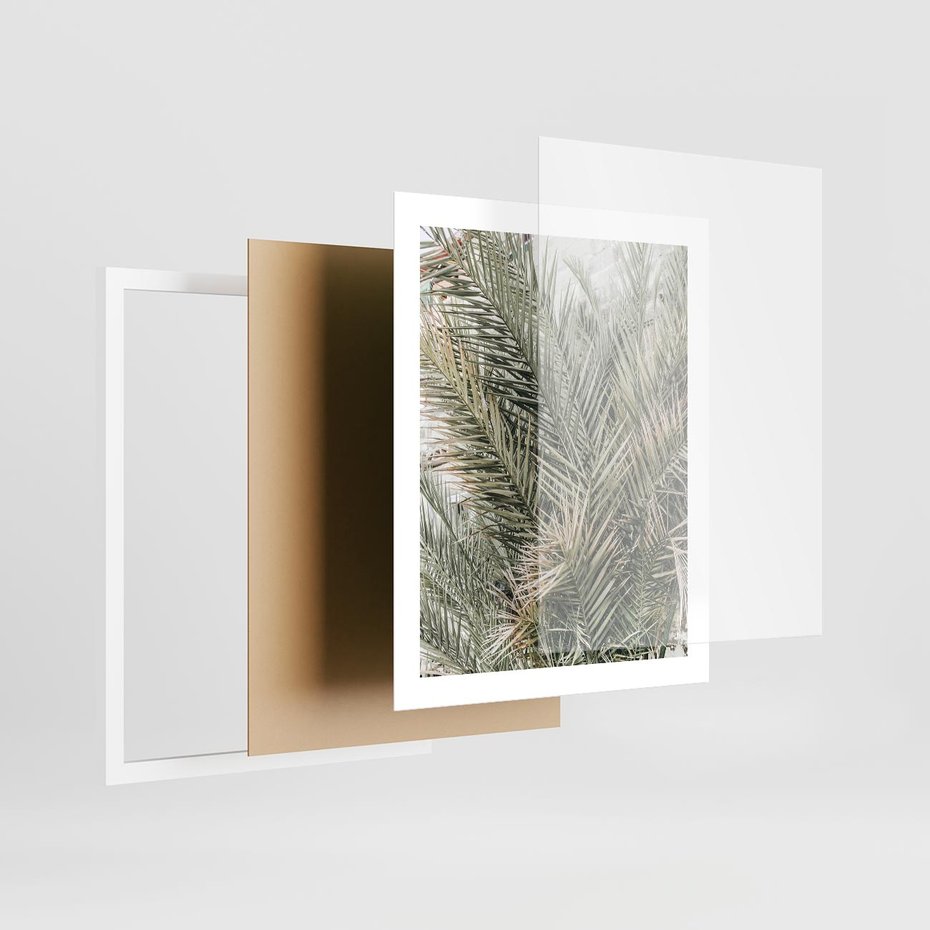 Plakat w ramie 40x50 - Egzotyczny Świat Palm - palmy, liście palmy - rama biała