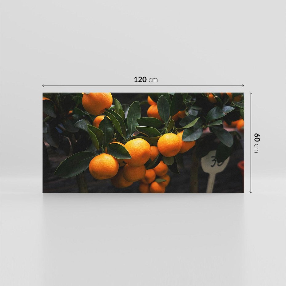 Obraz na płótnie 120x60 - Mandarynki Drzewko Urodzaju - mandarynki, drzewko