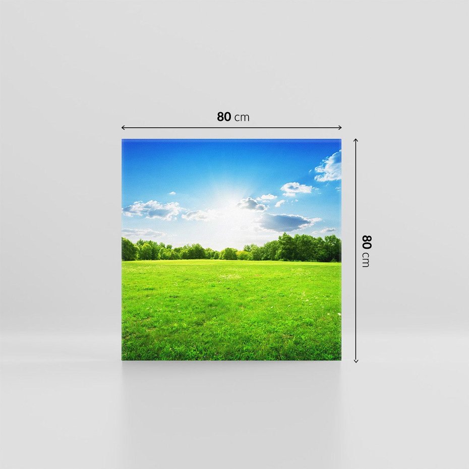 Obraz na płótnie 80x80 - Idylla na łące drzew - łąka, drzewa