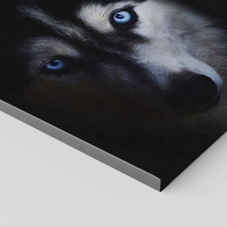 Obraz na płótnie 70x70 - Wilk i husky: siła przyjaźni - wilk, husky