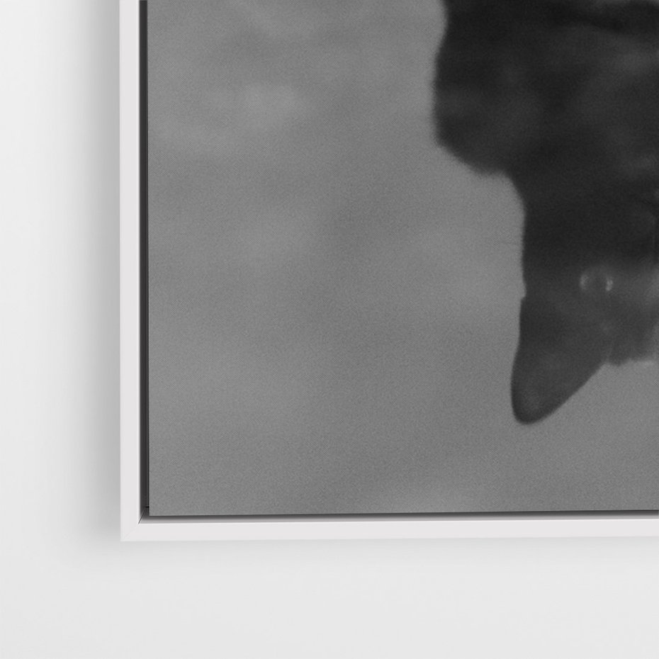 Obraz w ramie 80x120 - Kocie Oczy - kot, czarno białe zdjęcie - rama biała