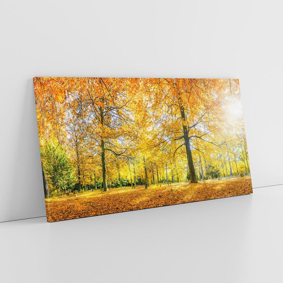 Obraz na płótnie 140x70 - Jesień w Lesie: Urok Lasu - jesień, las