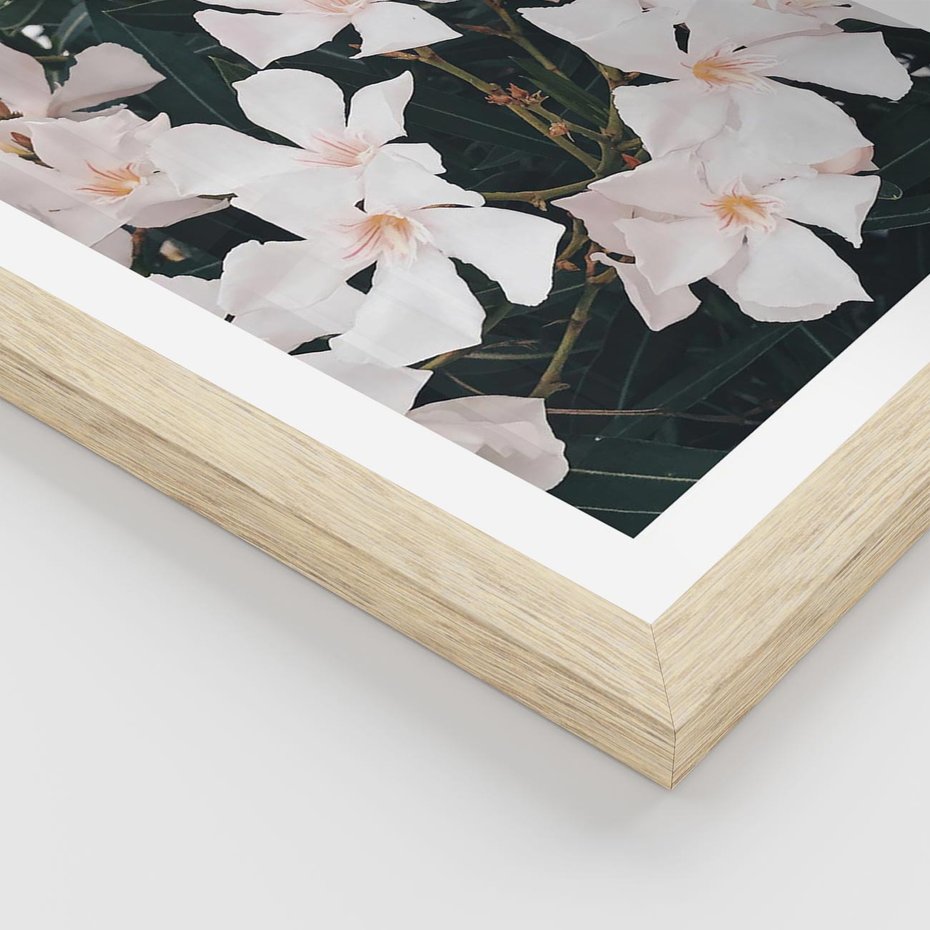 Plakat w ramie 30x40 - Egzotyczna Uroda - białe kwiaty, tropikalne kwiaty - rama drewno