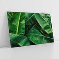 Obraz na płótnie 120x80 - Zaklęta roślinna ekspresja - liście bananowca, gęsto ułożone