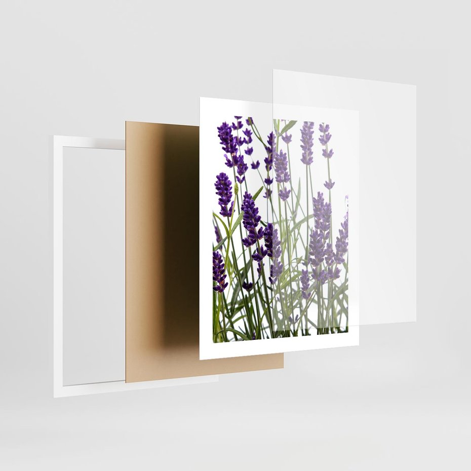 Plakat w ramie 40x50 - Fioletowa harmonia lawendy - lawenda, fiolet - rama biała