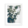 Plakat w ramie 40x50 - ukaliptusowa Harmonia - liście eukaliptusa - rama biała