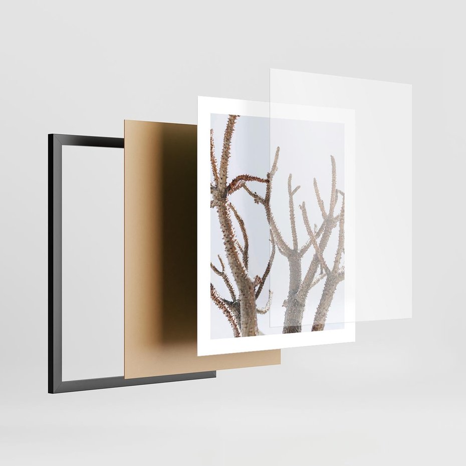 Plakat w ramie 40x50 - Pustynna Harmonia Gałęzi - pustynna roślina, suche gałęzie - rama czarna
