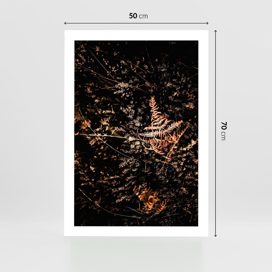 Plakat bez ramy 50x70 - Jesienna Melodia - suche trawy, paprocie