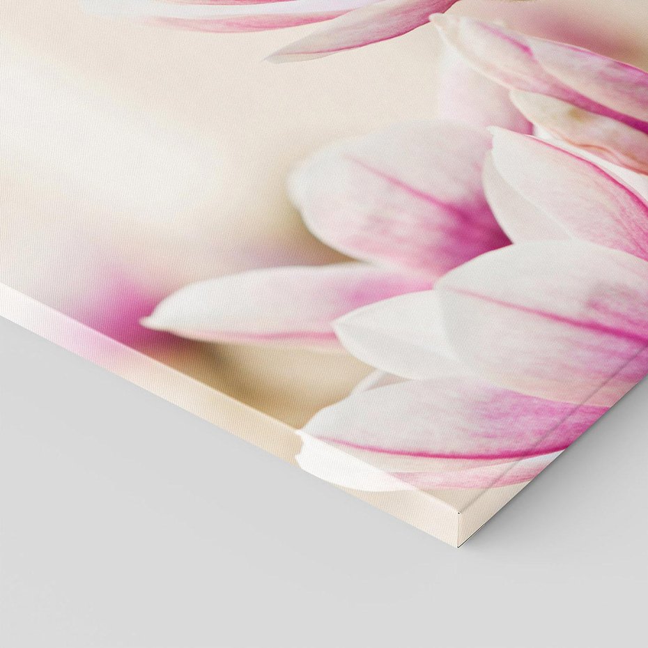Obraz na płótnie 60x60 - Urok Magnolii - magnolie, kwiaty
