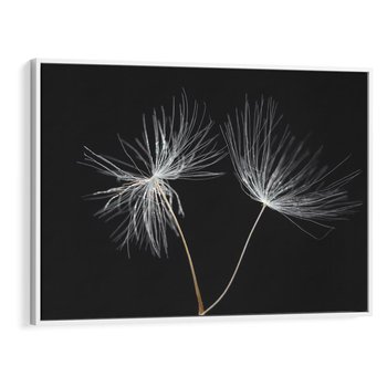 Obraz w ramie 120x80 - Delikatność Wiatru - dmuchawce, makro - rama biała