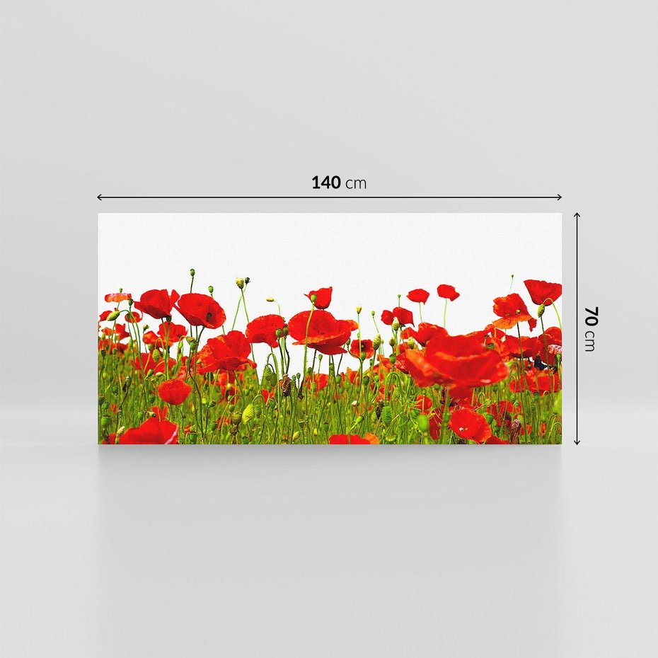 Obraz na płótnie 140x70 - Bujne maki na malowniczej łące - mak, maki