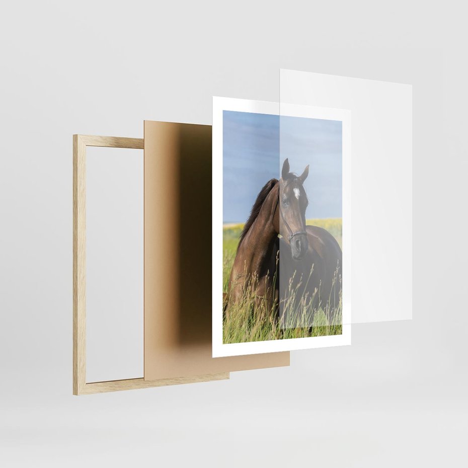 Plakat w ramie 50x70 - Siła i piękno natury - koń, łąka - rama drewno