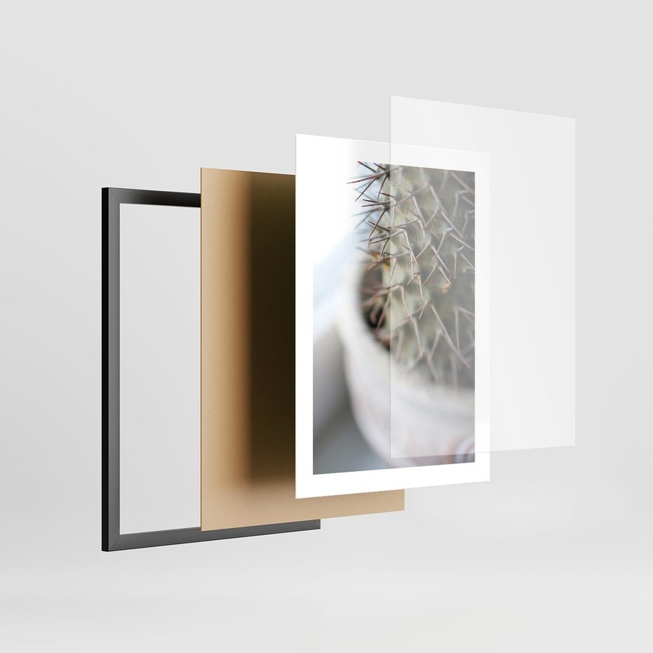 Plakat w ramie 30x40 - Kaktus w Zbliżeniu - kaktus, igły - rama czarna