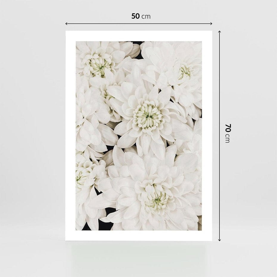 Plakat bez ramy 50x70 - Białe Kwiaty: Płatki Delikatności - białe kwiaty, zbliżenie