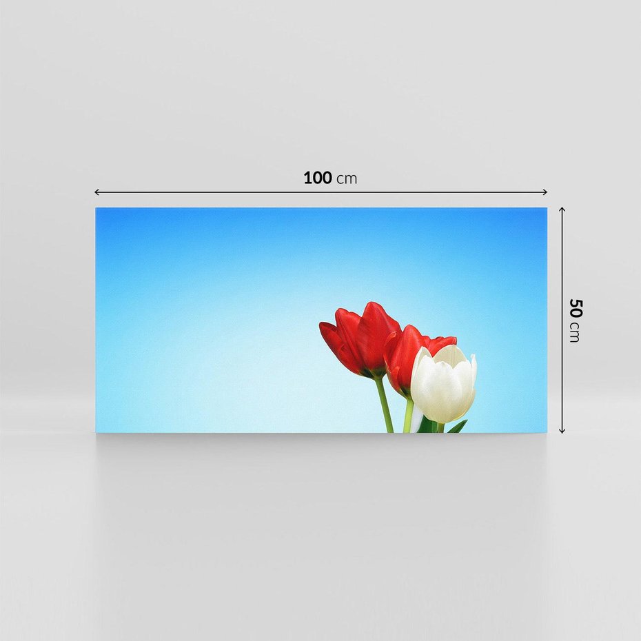 Obraz na płótnie 100x50 - Tulipanowy zachwyt - tulipany, kwiaty