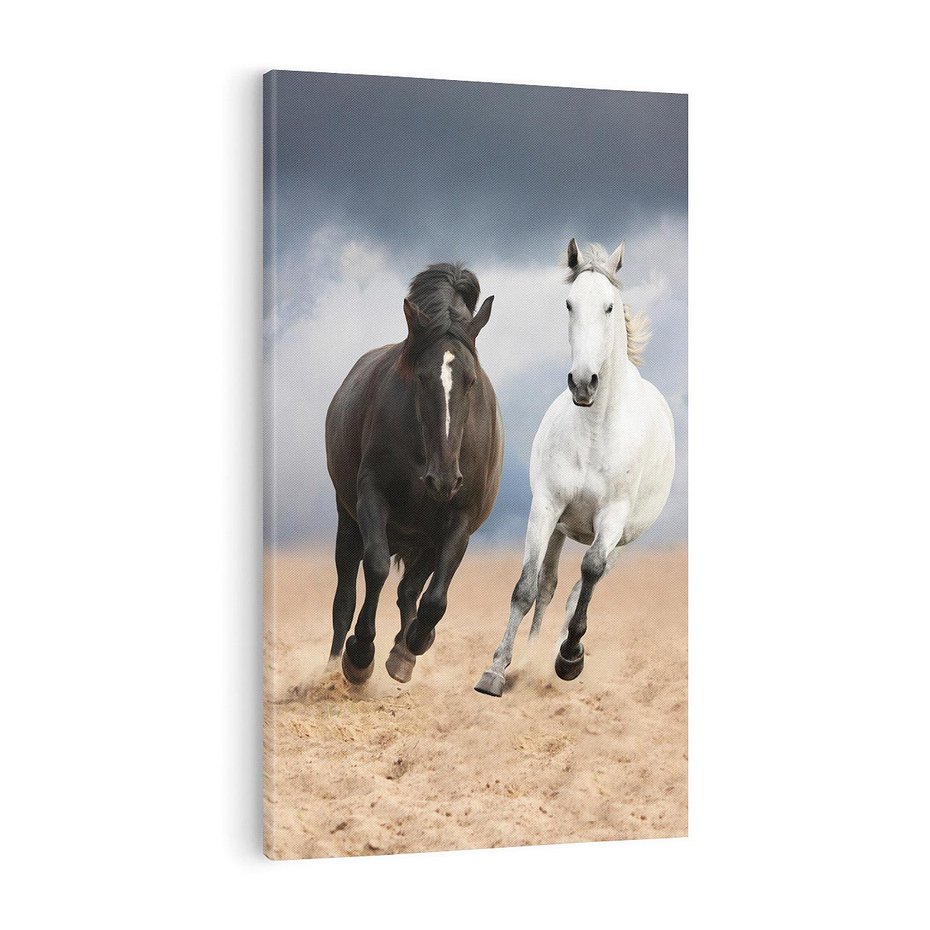 Obraz na płótnie 70x100 - Siła koni w galopie - konie, galop