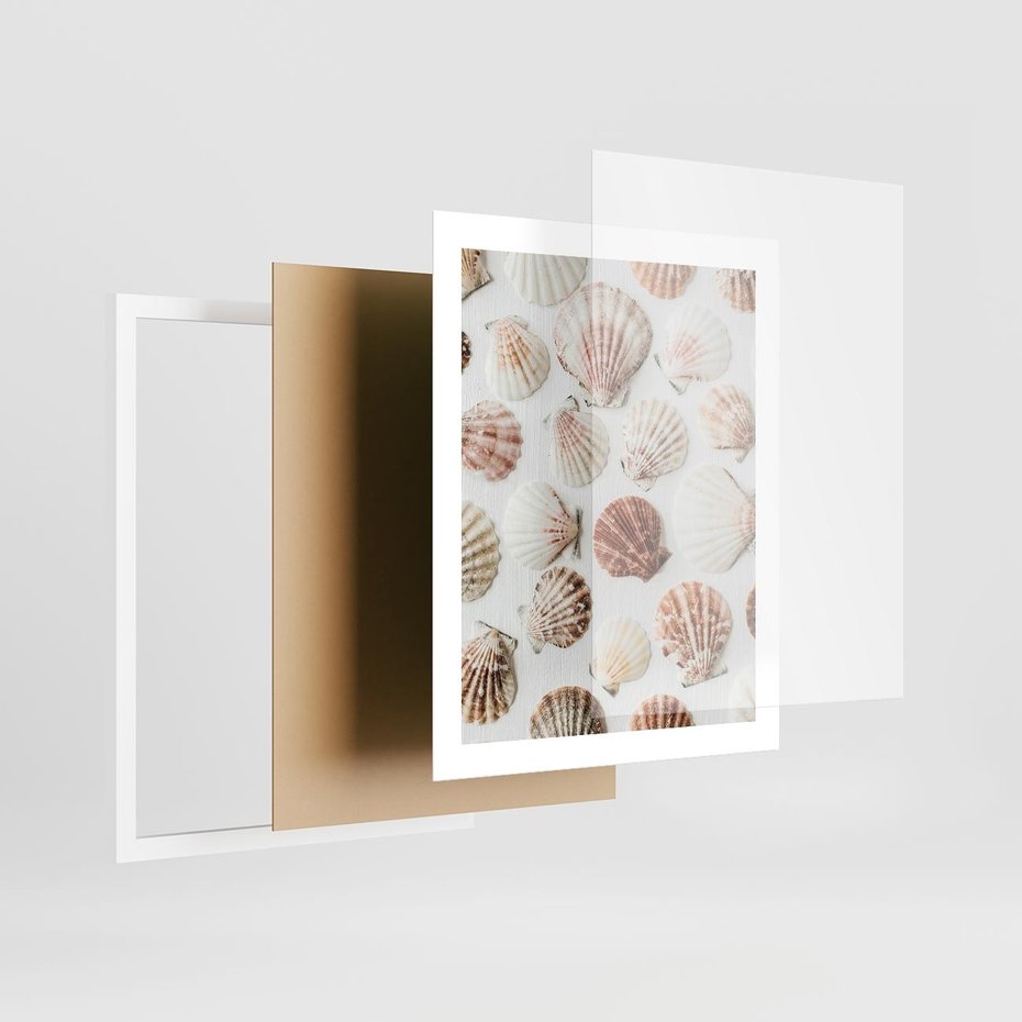 Plakat w ramie 40x50 - Morska Delikatność: Muszelki na Białym Tle - kompozycja, morskie muszelki na białym tle - rama biała