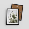 Plakat w ramie 30x40 - Ekskluzywna Roślinność - kaktusy, liście - rama czarna