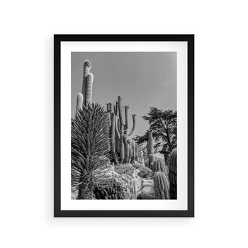 Plakat w ramie 30x40 - Pustynny Klimat - czarno białe zdjecie, pustynia - rama czarna