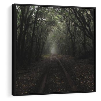 Obraz w ramie 50x50 - Urok Drogi - las, droga - rama czarna