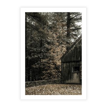 Plakat bez ramy 21x30 - Dom w Lesie - chatka w lesie, górski domek