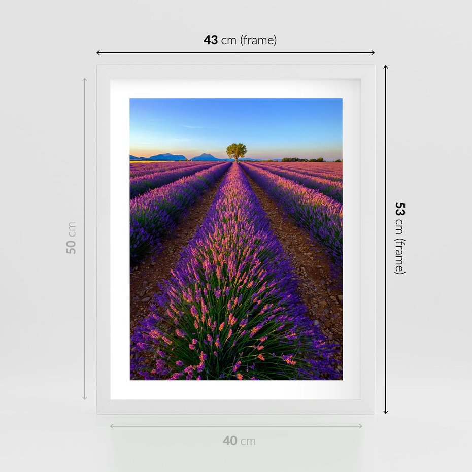 Plakat w ramie 40x50 - Fioletowa Magia - pole, lawendy - rama biała